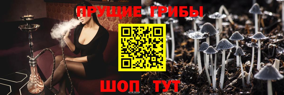 где продают   Вход с VPN  Кизляр  Псилоцибиновые грибы Psilocybine cubensis  Псилоцибиновые грибы Magic Shrooms 