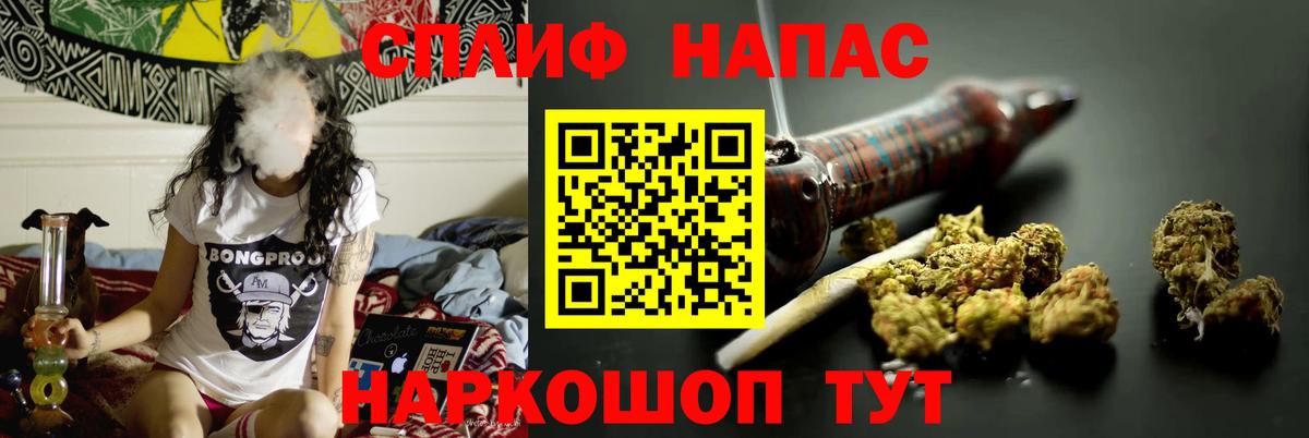 Конопля конопля Кизляр